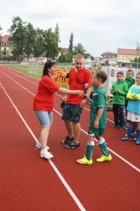 4. Ročník turnaje o pohár Romana Vonáška  27.6. 2015 (224)  